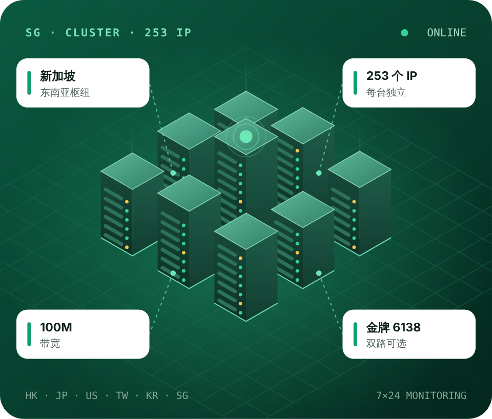 新加坡站群服务器示意